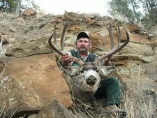 A very nice breaks deer